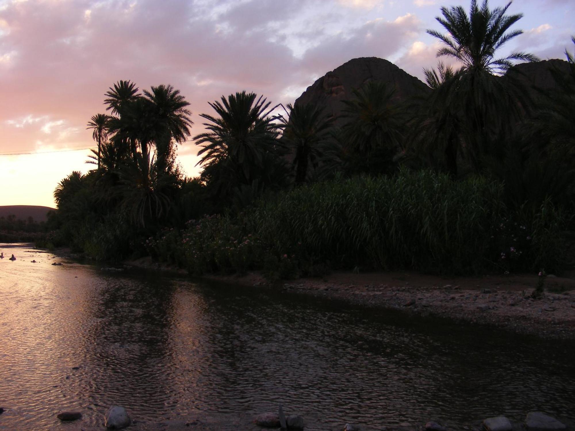 La Terrasse Des Delices Bed & Breakfast Ouarzazate Eksteriør bilde